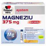 Vloeibaar magnesiumsysteem, 375 mg, 30 injectieflacons, Doppelherz (veganistisch)