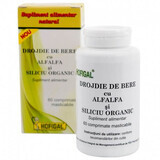 Biergist met alfalfa en organisch silicium, 60 tabletten, Hofigal