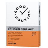 Synergize Your Gut Good Routine, 10 vegetarische Kapseln, Secom