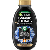 Garnier Botanic Therapy Shampoo Magnetische Houtskool &amp; zwarte zaadolie, 400 ml