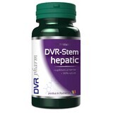 DVR-Leberstamm, 60 Kapseln, DVR Pharm