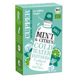 Eco infusion de menthe et de citron, 10 sachets, Cupper