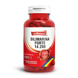 Silymarine Forte, 14.200, 60 capsules, AdNatura