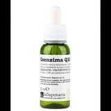 Pure Active met co-enzym Q10, 30 ml, La Saponaria