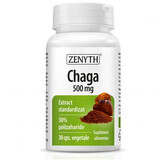 Chaga-extract, 30 capsules, Zenyth