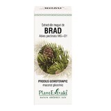 Extract din muguri de Brad, 50 ml, Plant Extrakt