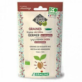 Semi di rucola per germinazione Bio, 100 g, Germline