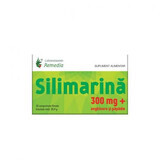 Silymarine, 300 mg, 30 filmomhulde tabletten, Remedia