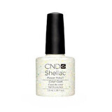 Shellac Zillionaire - CND