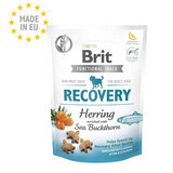 Snack for dogs Recovery Herring, 150 g, Brit