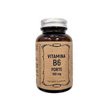 Vitamine B6 Forte 100 mg, 60 capsules, Remedia