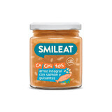 Alimento biologico a base di salmone, piselli e riso integrale, +10 mesi, 230 g, Smileat