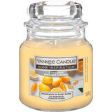 Yankee Candle Zitrusgewürz-Duftkerze, 104 g