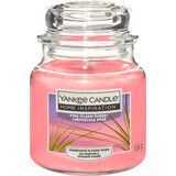 Yankee Candle Candela profumata Isola Rosa, 104 g