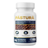 Pastura, 60 Kapseln, Nutrific