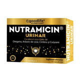 Nutramicin Urinar, 15 capsule, Cosmo Pharm