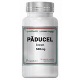 Paducelextract, 500 mg, 60 capsules, Cosmo Pharma