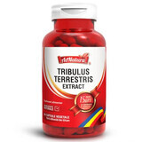Tribulus Terrestris extract, 60 capsules, AdNatura