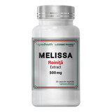 Extrait de Mélisse, 500 mg, 30 gélules, Cosmo Pharm