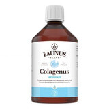 Colagenus articulatii, 500 ml, Faunus