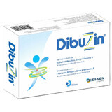 Dibuzin, 30 comprimés, Biessen Pharma