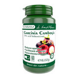 Garcinia Cambogia, 60 capsules, Pro Natura