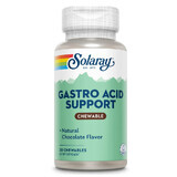 Gastro Acid Support chocoladesmaak, 30 kauwtabletten, Secom