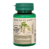 Gastrocalm, 60 comprimés, Dacia Plant