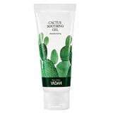 Cactus verzachtende gezichtsgel, 105 ml, Yadah