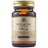 Folacin Foliumzuur 800 mcg, 100 tabletten, Solgar
