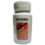 Digebil, 60 gélules, Solchem Nature