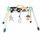 Mini Moon speelcentrum, +0 maanden, Taf Toys