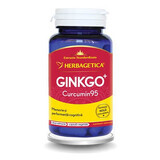 Gingko Curcumine95, 30 capsules, Herbagetica