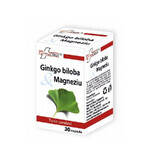 Ginkgo Biloba &amp; Magnesium, 30 capsules, FarmaClass