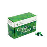 Ginkgo Biloba 40mg, 50 capsules, Remedia