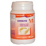 Ginseng, 40 capsules, Favisan