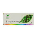 Gymnema sylvestre, 30 capsules, Pro Natura