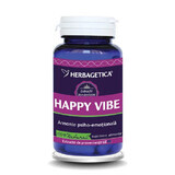 Happy Vibe (HappyVibe), 60 capsules, Herbagetica