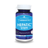 Hepatic Stem, 60 capsules, Herbagetica