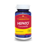 Hepato Curcumine95, 60 capsules, Herbagetica