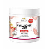 Hyaluron Max Smoothie, 500 g, Biocyte