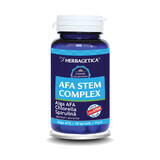 Afa Stam Complex, 60 capsules, Herbagetica