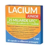 Lacium JUNIOR 25 miljard CFU, 10 capsules, Zdrovit