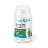 Leonurus Cardiaca - Ganzenvoet-extract, 30 capsules, Rotta Natura