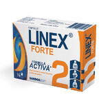 Linex Forte, 14 gélules, Sandoz