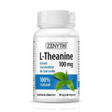 L-theanine 100 mg, 30 capsules, Zenyth
