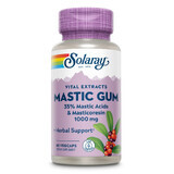 Gomme de mastic 500 mg Solaray, 45 gélules, Secom