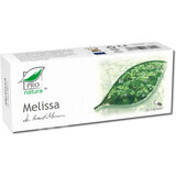 Melisse, 30 capsules, Pro Natura