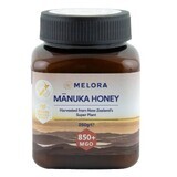 Manuka Honing MGO 850+, 250g, Melora