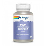 MSM 750 mg Solaray, 90 plantaardige capsules, Secom